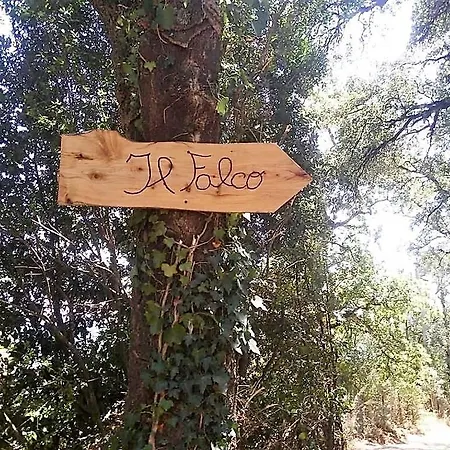 Vakantiehuis Il Falco - Rustico-villa Mit Privatem Pool In Alleinlage *