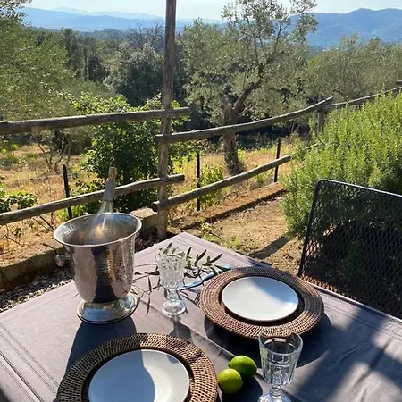 Vakantiehuis Il Falco - Rustico-villa Mit Privatem Pool In Alleinlage