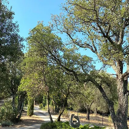 Il Falco - Rustico-villa Mit Privatem Pool In Alleinlage *