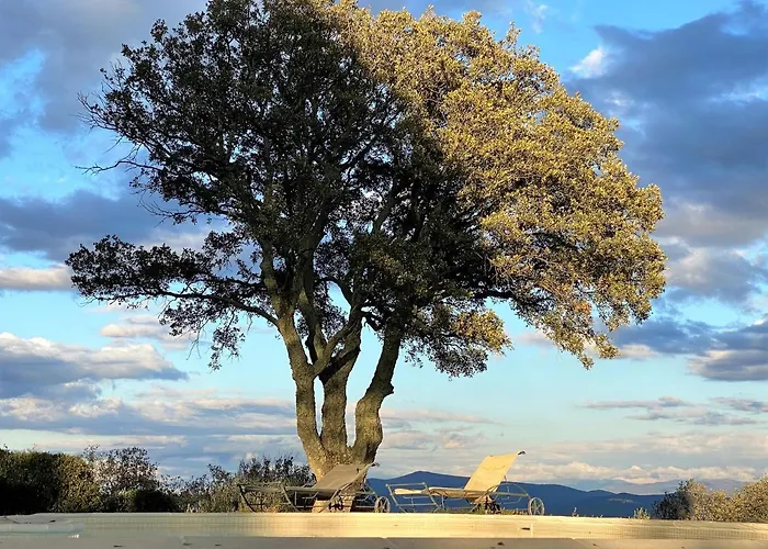 Casa de Férias Il Falco - Rustico-villa Mit Privatem Pool In Alleinlage Caldana