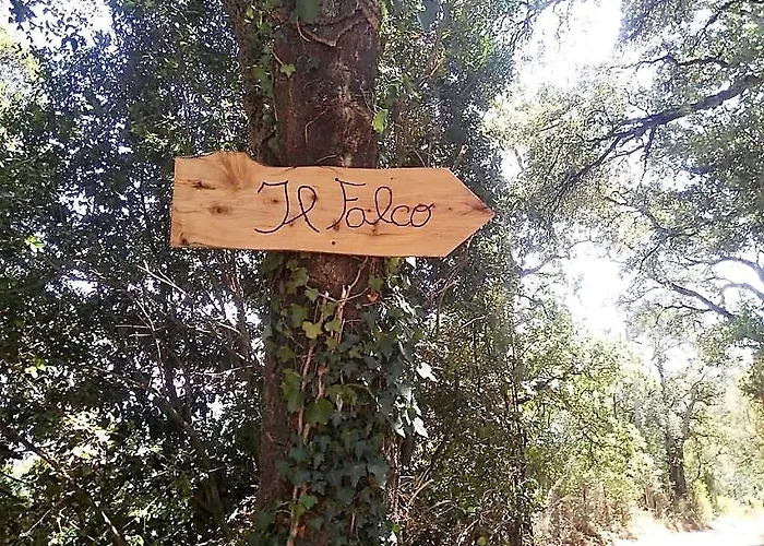 Casa de Férias Il Falco - Rustico-villa Mit Privatem Pool In Alleinlage *