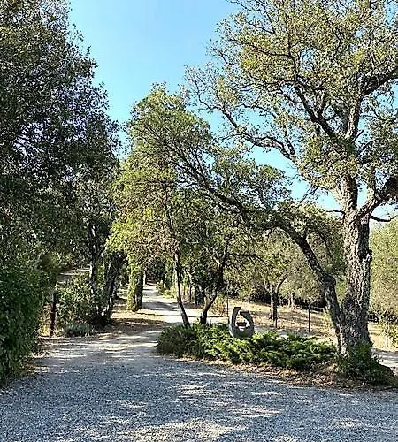 Il Falco - Rustico-villa Mit Privatem Pool In Alleinlage Casa de Férias *