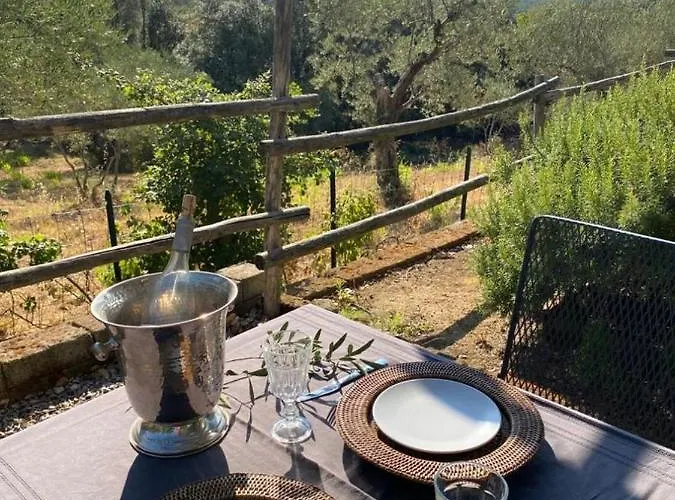 Casa de Férias Il Falco - Rustico-villa Mit Privatem Pool In Alleinlage