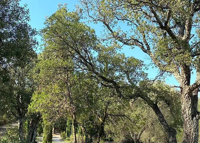 Il Falco - Rustico-villa Mit Privatem Pool In Alleinlage *